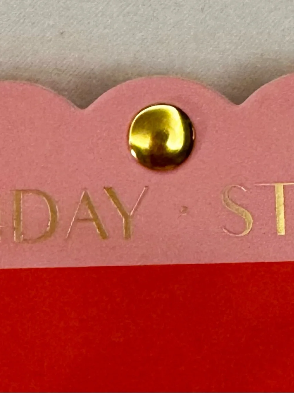 Sunday State Floral Enamel Hair Clips - Red & Light Pink